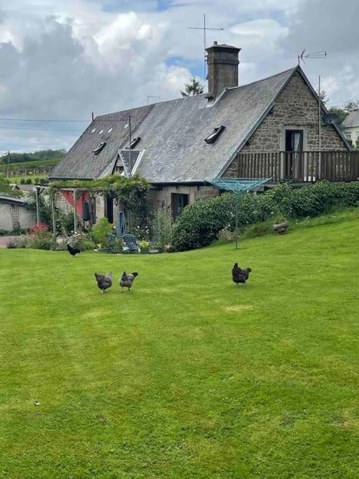 Le Petit Fleur - The Little Flower, Cosy Cottage Saint-Michel-de-Montjoie Exterior foto